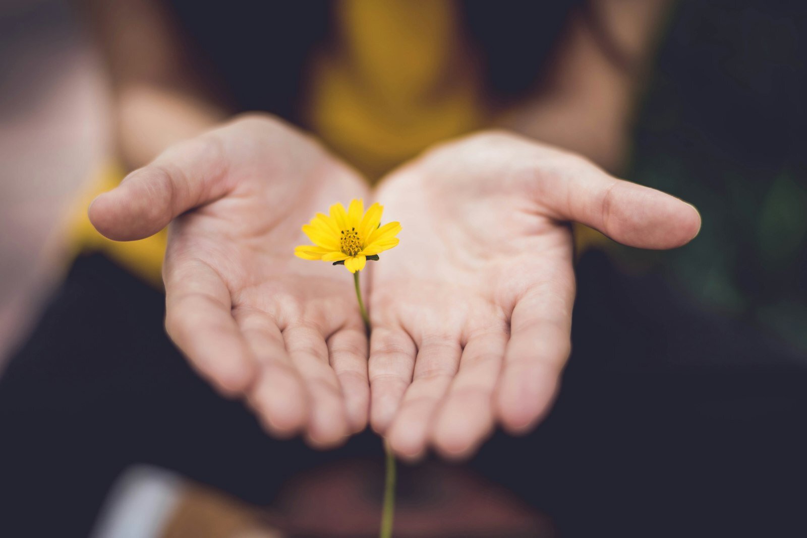 The Psychology of Generosity in Tipping